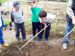 Gli alunni rastrellano il terreno